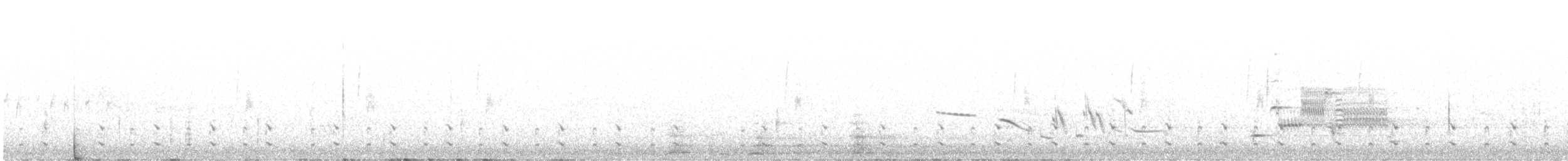 Wilson's Snipe - ML637292718