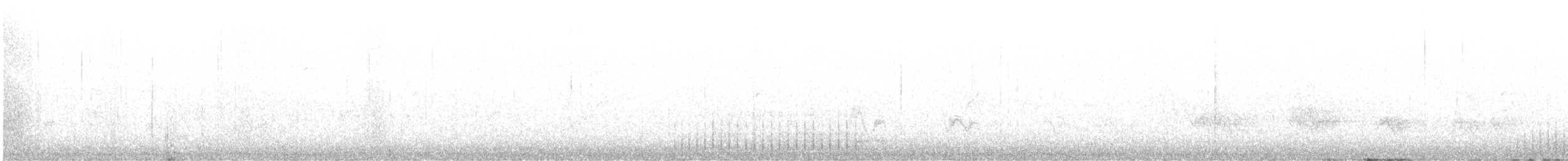 White-headed Woodpecker - ML637292970