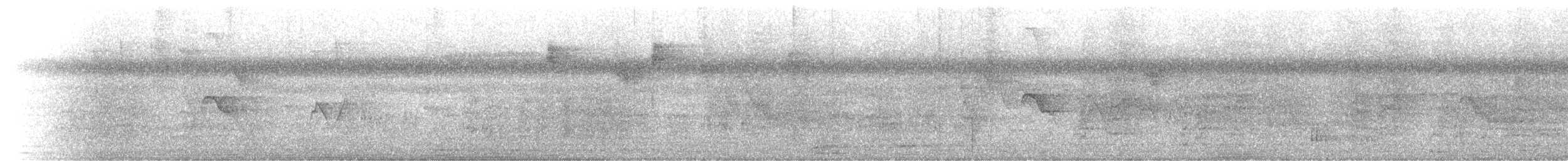 Caribbean Elaenia - ML637293492