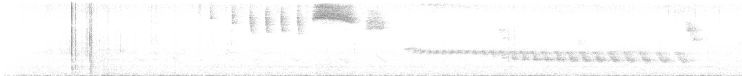 Ошейниковый тохи - ML637293905