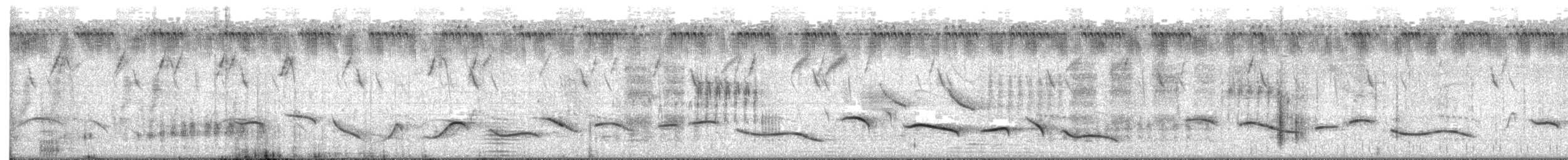 Brown-crowned Tchagra - ML637294813