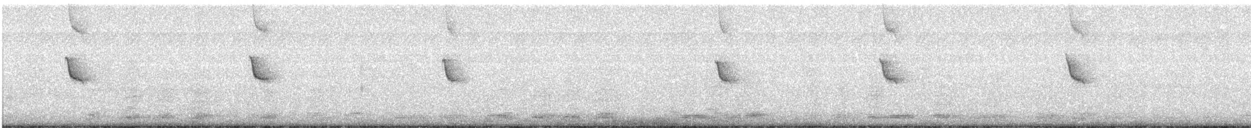 Colibri d'Angèle - ML637294929