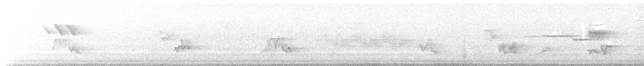 Black-throated Green Warbler - ML637297265