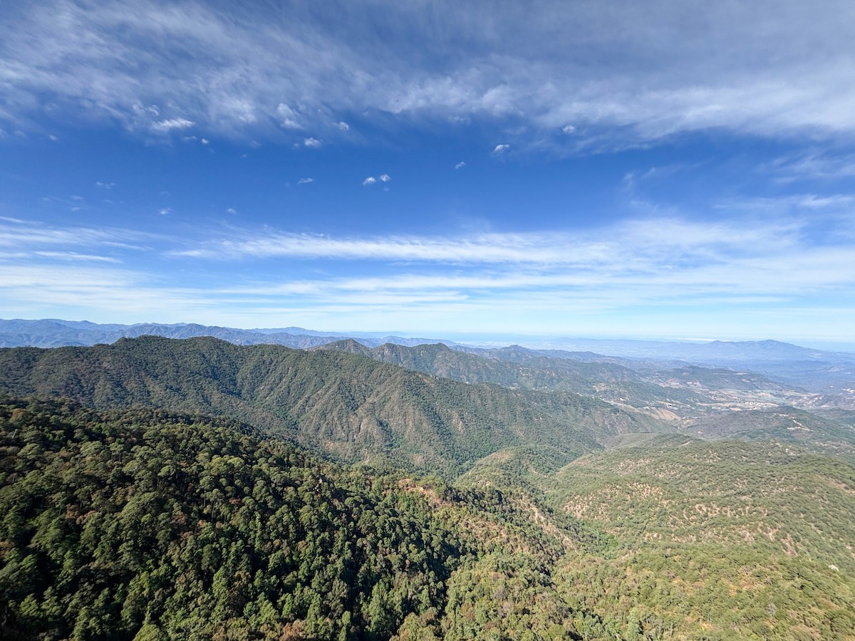 null - ML637297548