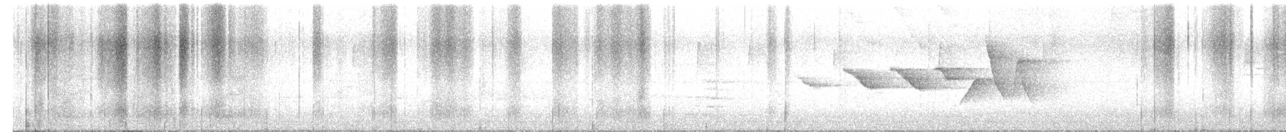 Swainson's Warbler - ML637298558