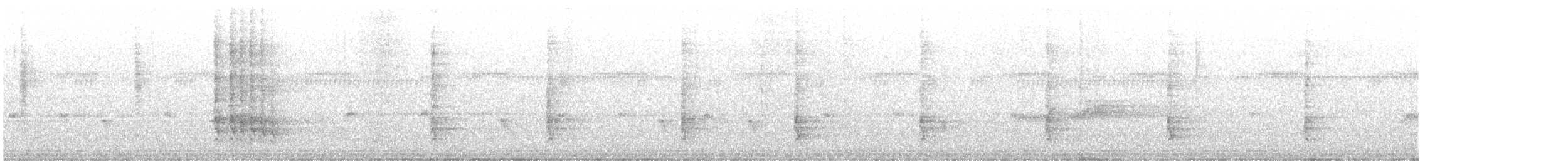 datlovití sp. - ML637298754