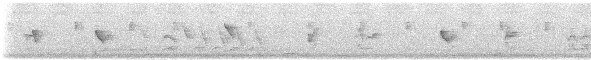 vireo sp. - ML637299203