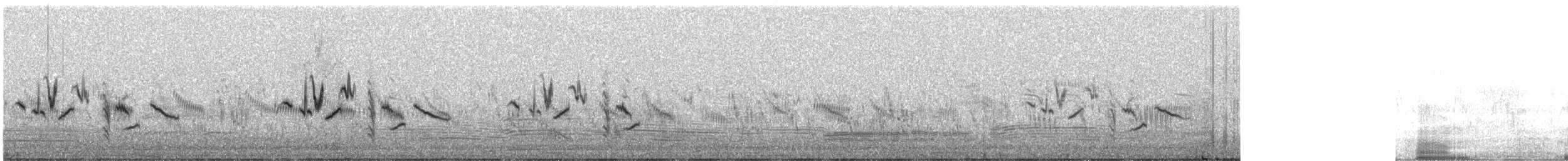 Siberian Stonechat (Przevalski's) - ML637299867