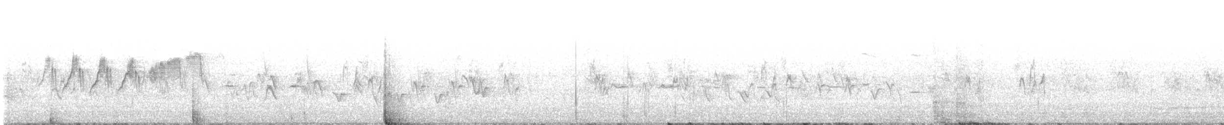 stryparula - ML637300272