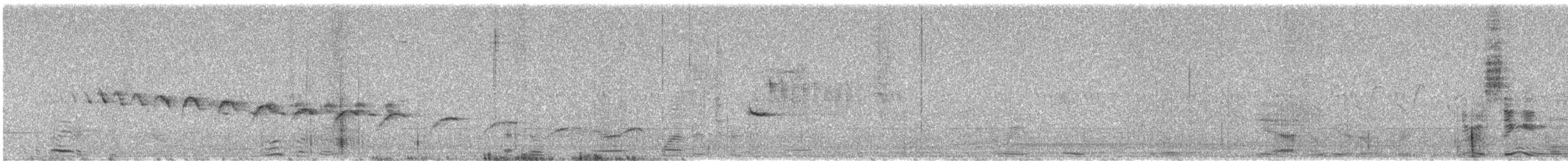 Canyon Wren - ML637300400