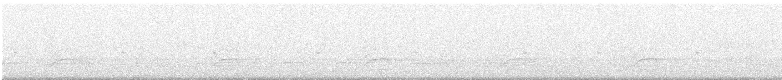 Méliphage à oreillons bleus - ML637302202