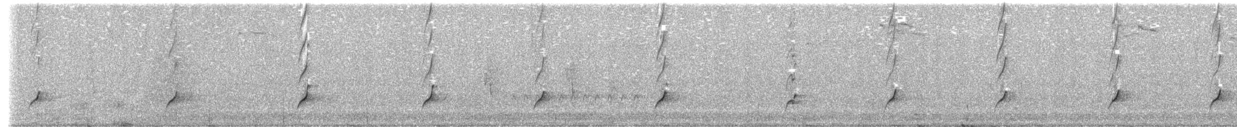 Méliphage à oreillons bleus - ML637302203