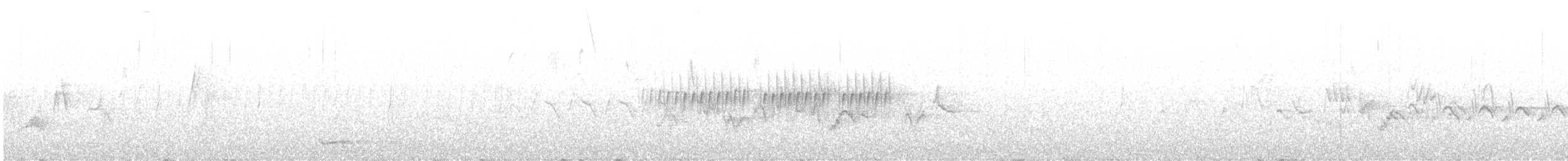 Mountain Quail - ML637302711