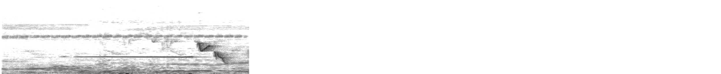 Brownish-flanked Bush Warbler - ML637303310