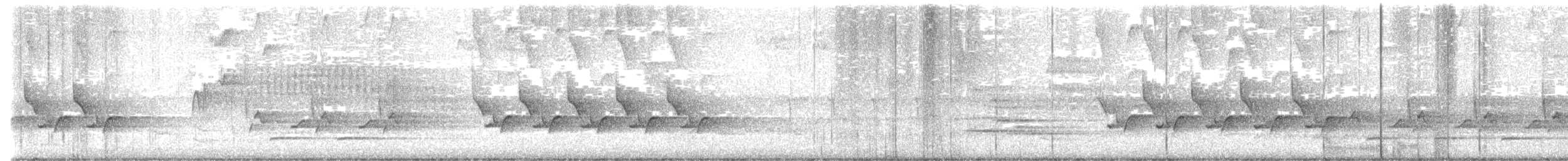 Поплітник каролінський - ML637304412