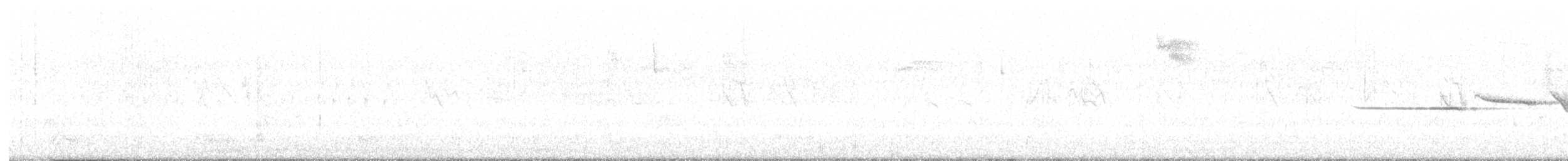 White-crowned Sparrow - ML637305623