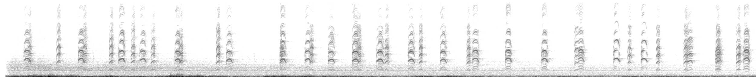 Black-winged Stilt - ML637305634