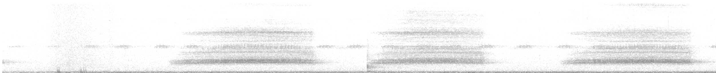 Western Barn Owl - ML637306391