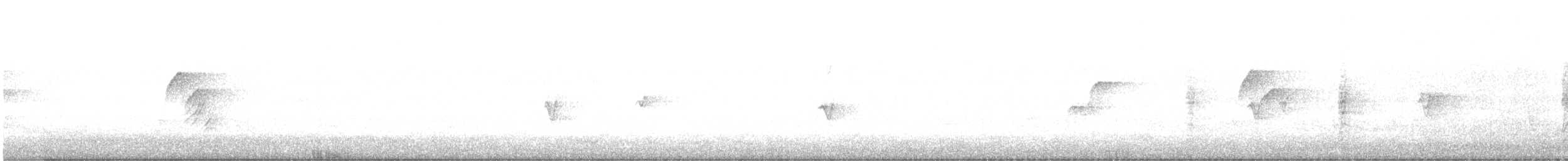 Western Flycatcher - ML637313258