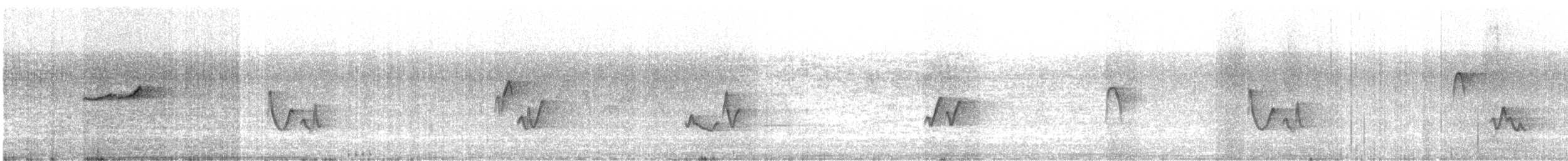 Yellow-bellied Flycatcher - ML637314164