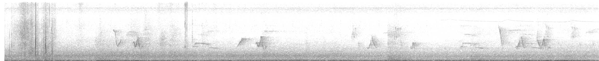 Black-whiskered Vireo - ML637314763