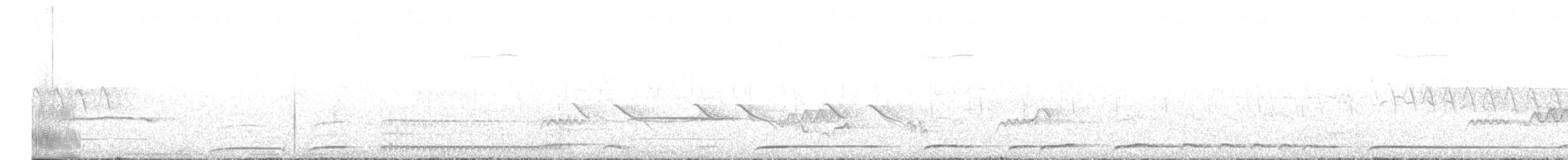 Wedge-tailed Green-Pigeon - ML637314782
