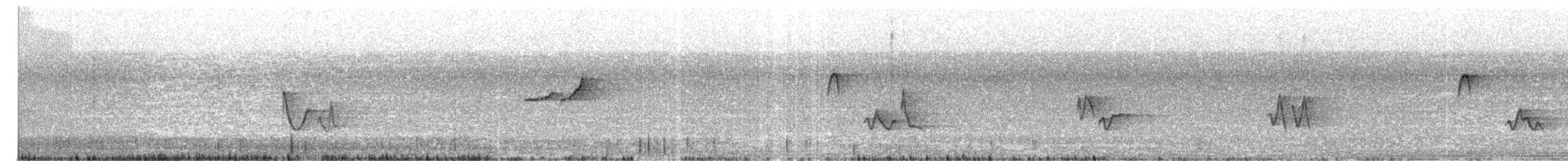 Yellow-bellied Flycatcher - ML637315644