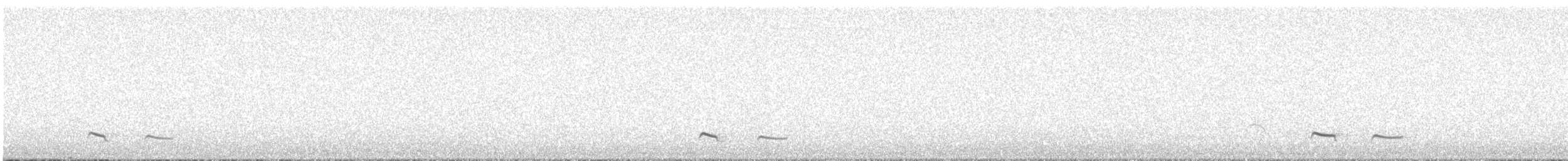 Atuen Antpitta - ML637318259