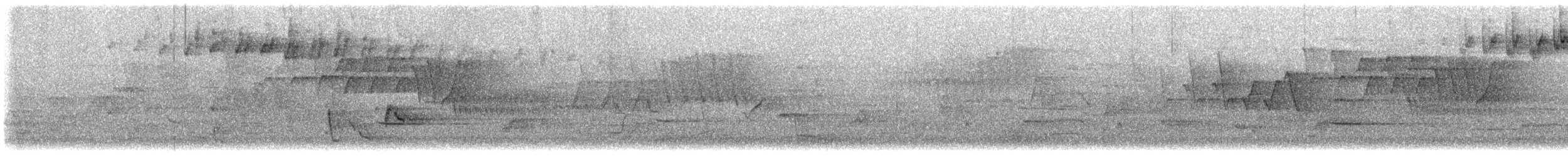 Blackpoll Warbler - ML637319686