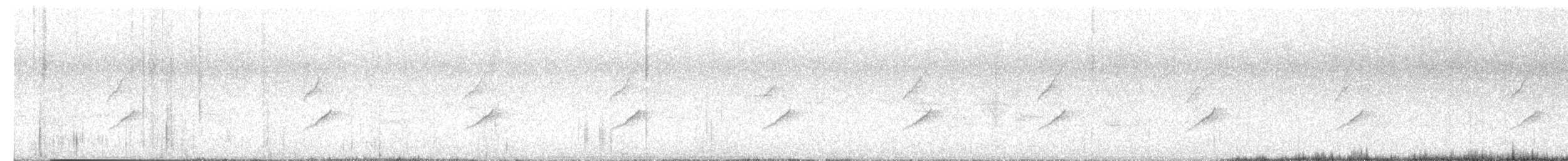 Txioa sp. - ML637319732