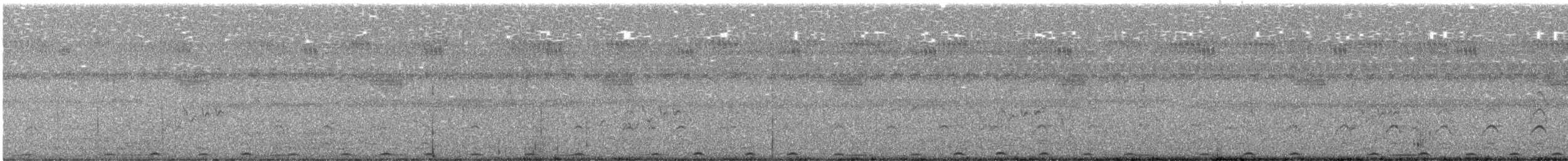 Râle de Böhm - ML637320814