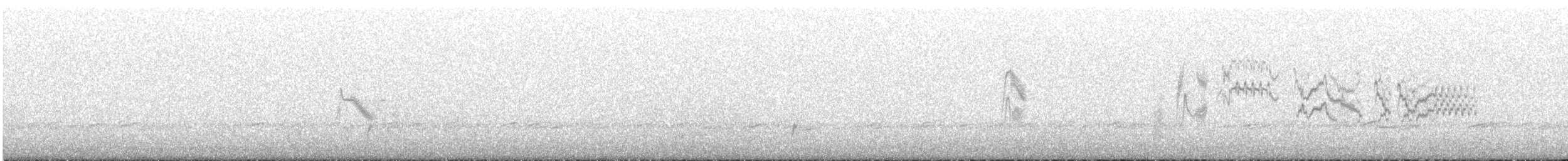 drozd newfoundlandský - ML637321732