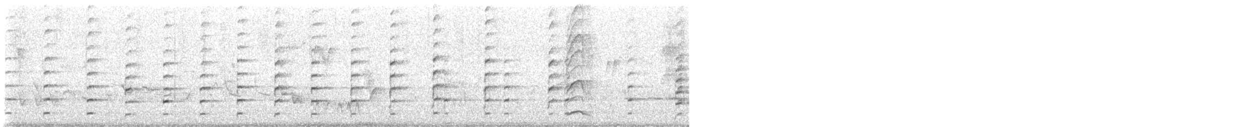 Black-winged Stilt - ML637322600