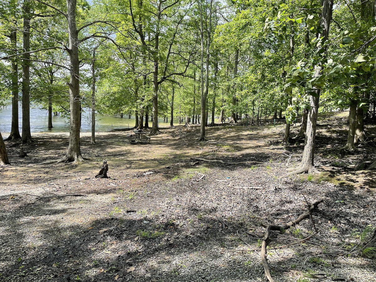 null - ML637324665