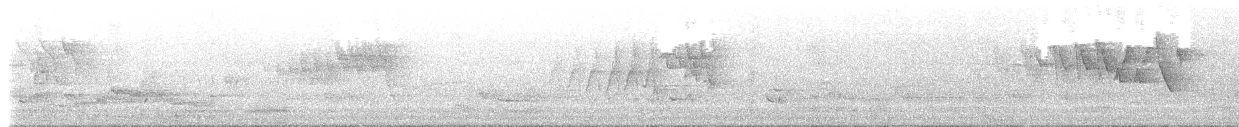 Chestnut-sided Warbler - ML637325129