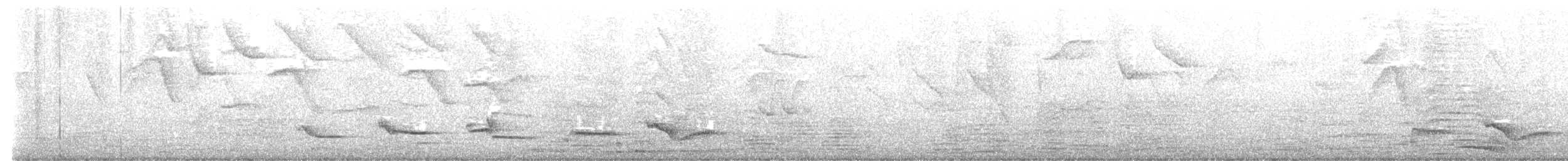 Spectacled Thrush - ML637326432