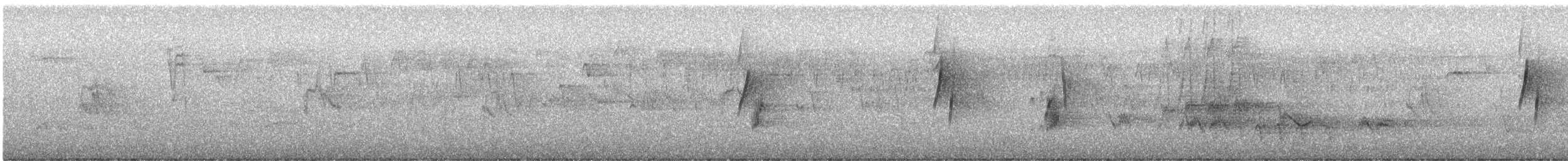 granempid - ML637326507