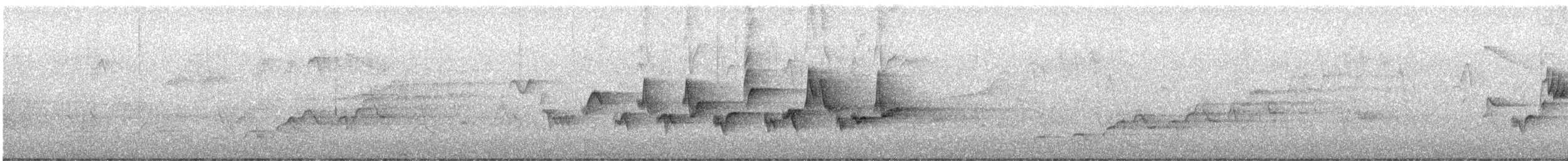 Western Warbling Vireo - ML637326519