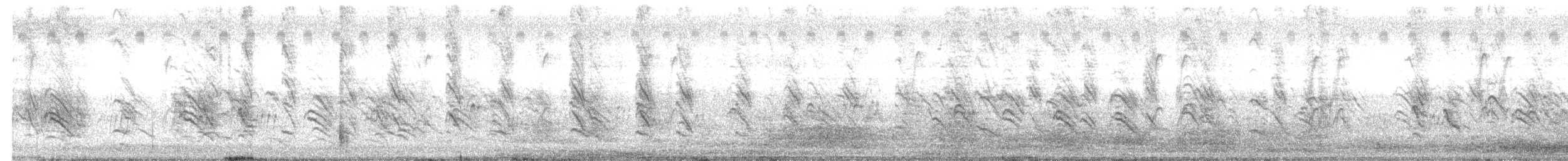 Cliff Swallow - ML637327087