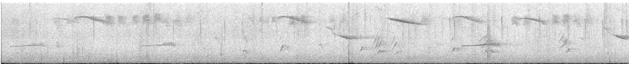 Western Wood-Pewee - ML637327797