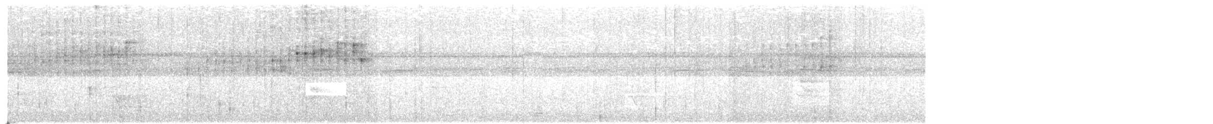 Plumbeous Warbler - ML637328033