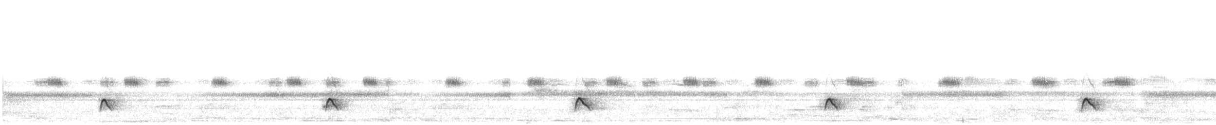 Pygmy Nightjar - ML637328541