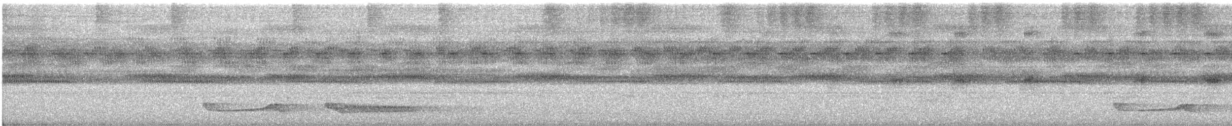 Fiery-necked Nightjar (Black-shouldered) - ML637329426