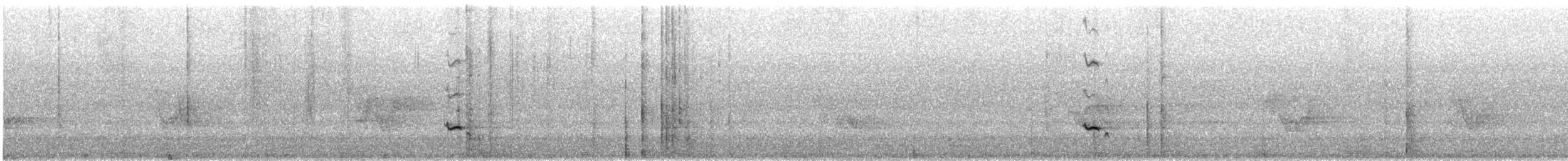 Baltimore Oriole - ML637330125