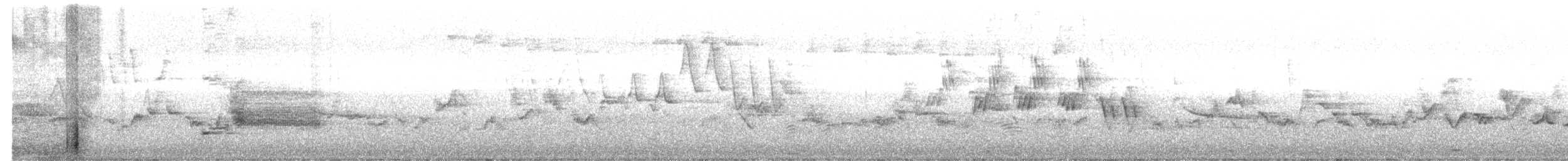 Mourning Warbler - ML637330370