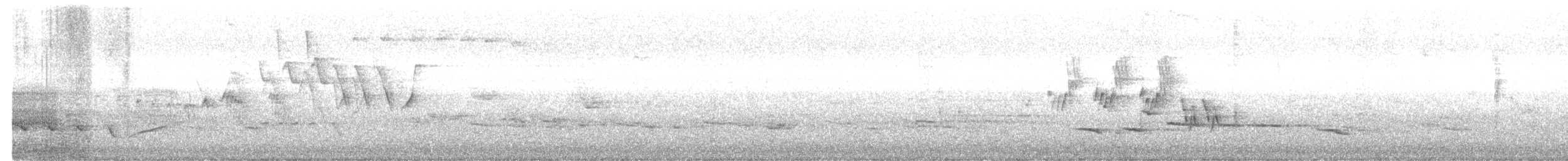 Mourning Warbler - ML637330388