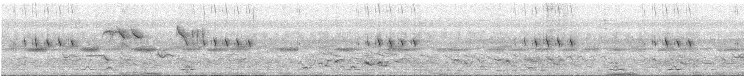 nightjar sp. - ML637330897