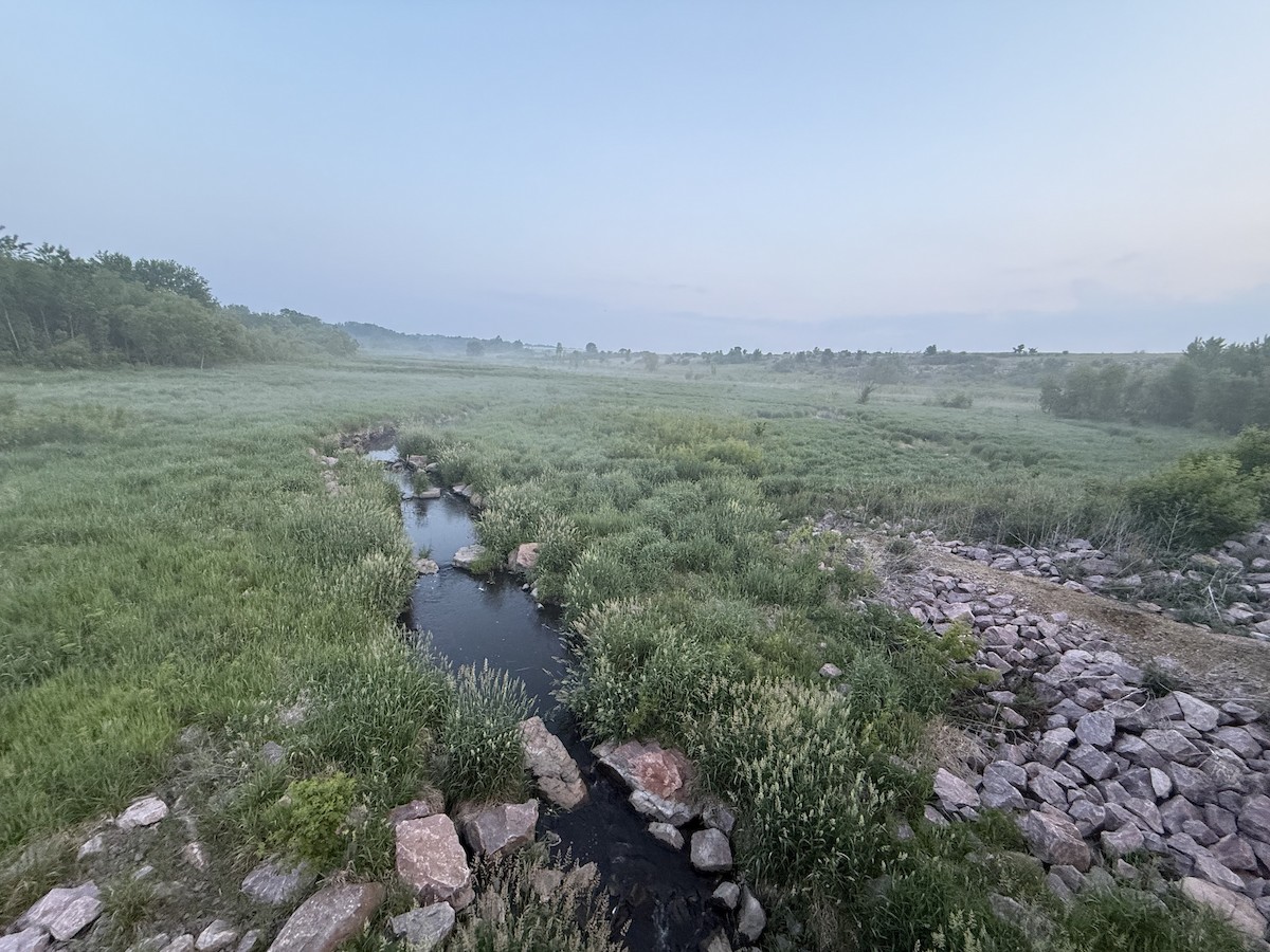 null - ML637332327