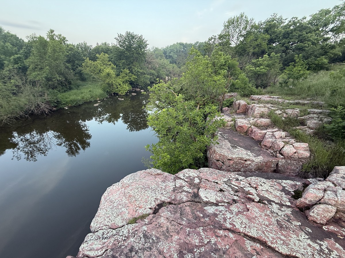 null - ML637332343