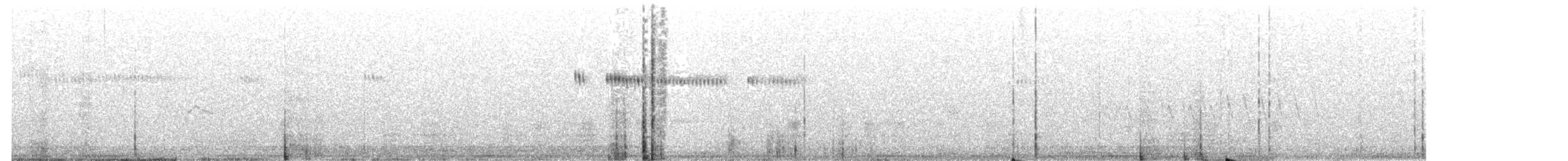 Broad-tailed Hummingbird - ML637335297